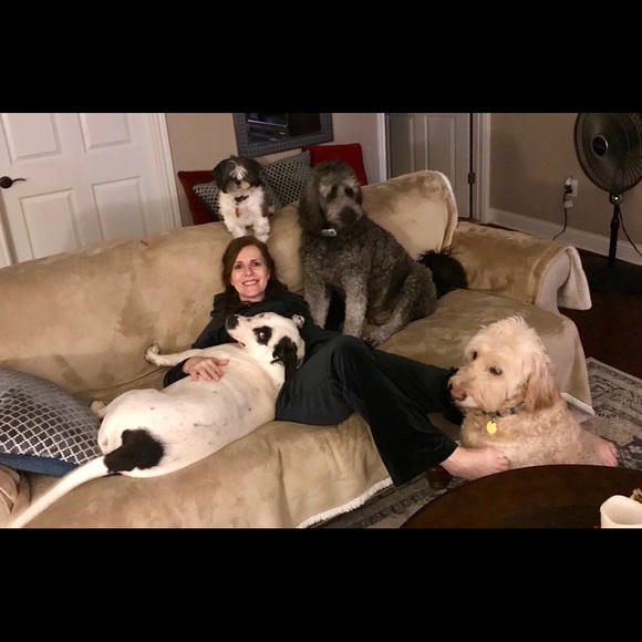 Meet your Posher, Sandy - Picture 2 of 16